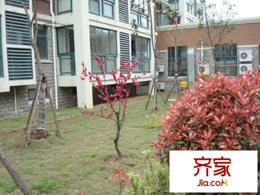 安正御龍灣小區(qū)實(shí)景（2013-12-12）