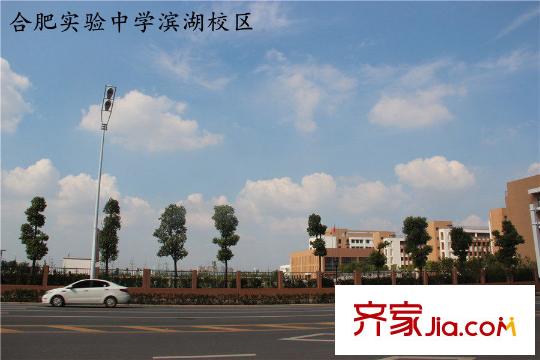 城建琥珀瑞安家園合肥實(shí)驗(yàn)學(xué)校濱湖校區(qū)