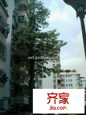 郵電學(xué)院宿舍外景圖57-2