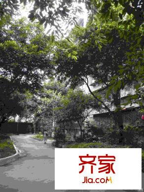郵電學(xué)院宿舍外景圖57-3