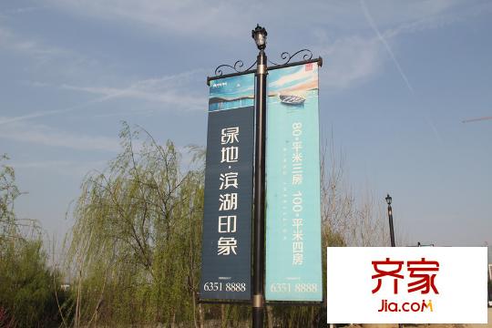 綠地?濱湖印象外景圖5