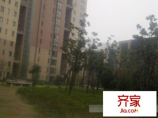 欣塘家園外景圖11