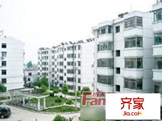 大楊