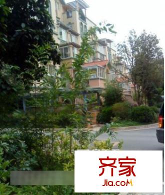 大楊小區(qū)外景圖8