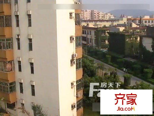 市三建公司宿舍外景圖2