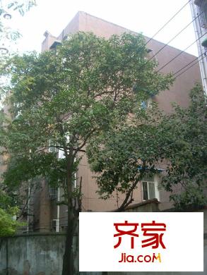 省衛(wèi)生廳宿舍外景圖2