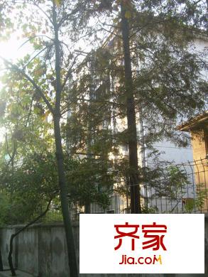 省衛(wèi)生廳宿舍外景圖1