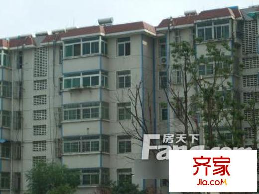 鳳霞小區(qū)外景圖2