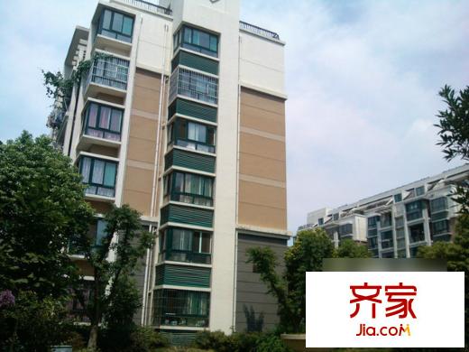 團安新村外景圖3