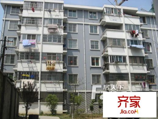 團安新村外景圖3