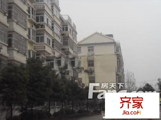 米蘭陽光外景圖11-2
