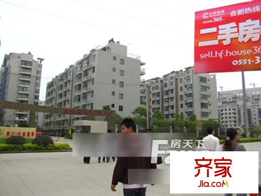 中心集貿市場外景圖5