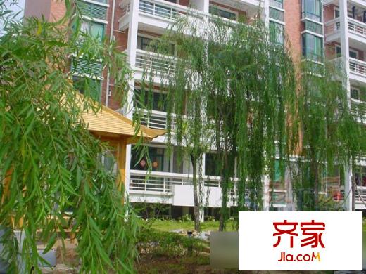 蜀新西瀾外景圖1