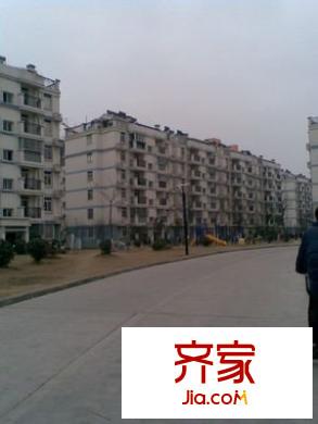 蓬萊花園外景圖 3室 戶型圖