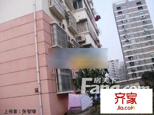 豐樂