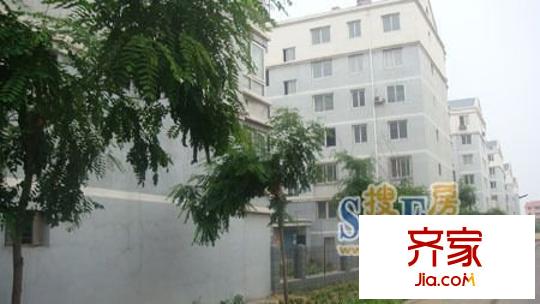 松林苑外景圖 