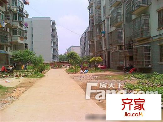煤球廠宿舍外景圖1