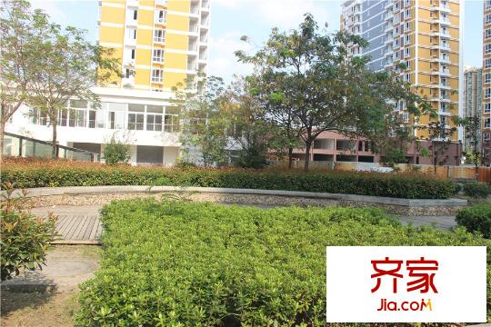 廬陽柳林苑小區(qū)環(huán)境（2015.9.23）