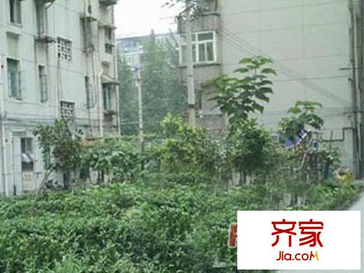 開關廠宿舍外景圖2009080617104210