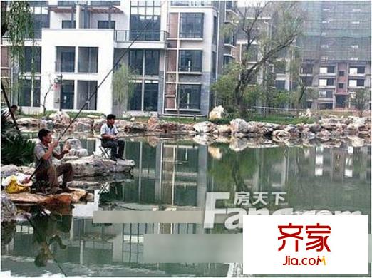 芙蓉社區(qū)外景圖4