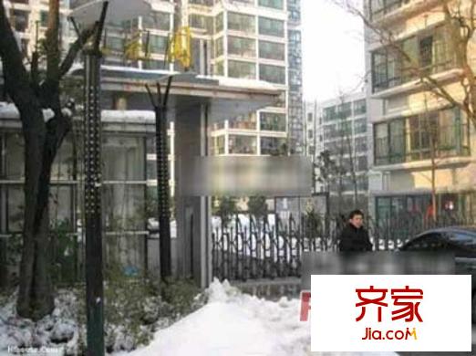 白帝海棠