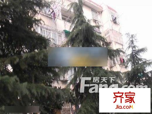市政新顏小區(qū)外景圖3