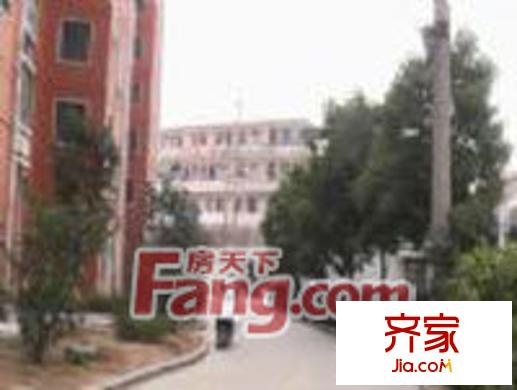 市政新顏小區(qū)外景圖1