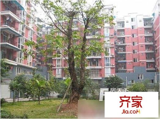 秋實(shí)園外景圖4