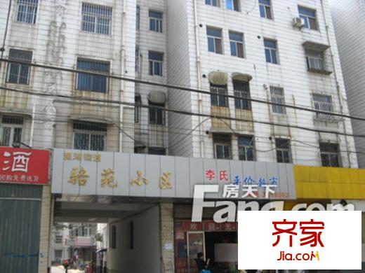 駱園小區(qū)外景圖1