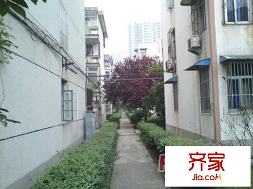 鳳巢園外景圖DSC00087_副本