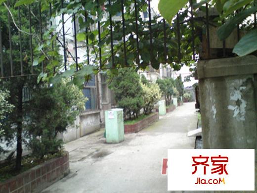 鳳巢園外景圖DSC00089_副本