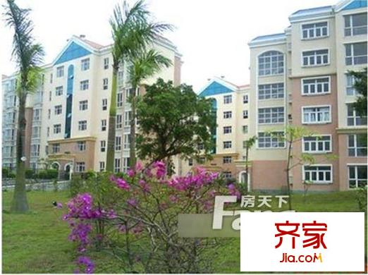 塘橋新村外景圖8