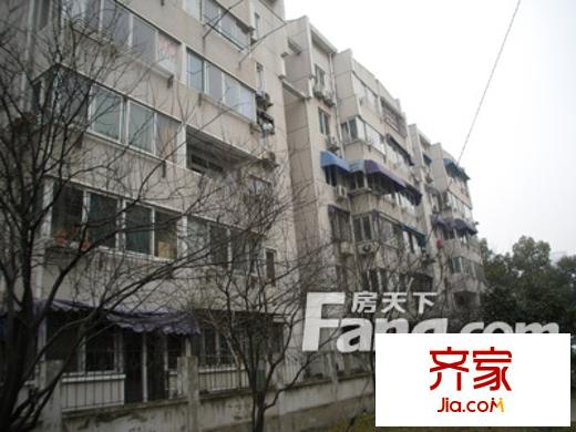 教師新村