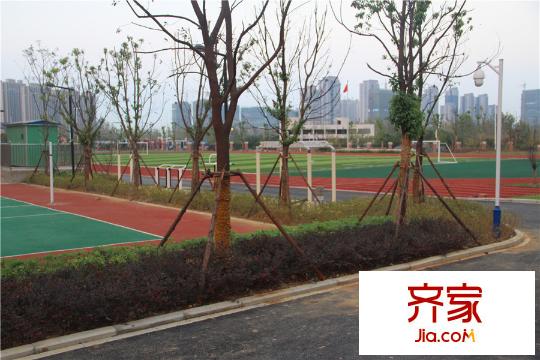 海亮九璽小區(qū)內(nèi)楊林小學(xué)（2015.10.21）