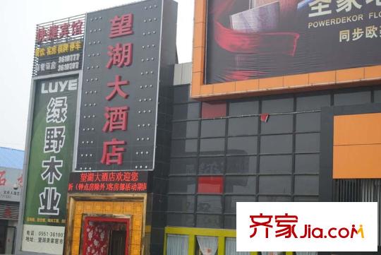 城建琥珀新天地配套圖望湖大酒店