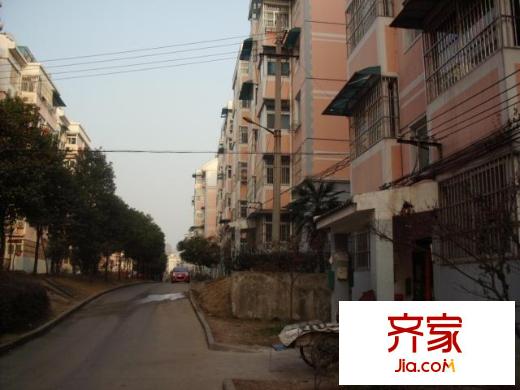 岳楓園外景圖2