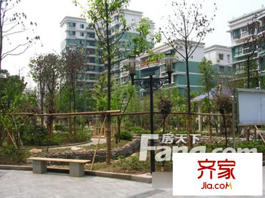 聚億城市經(jīng)典花園外景圖4