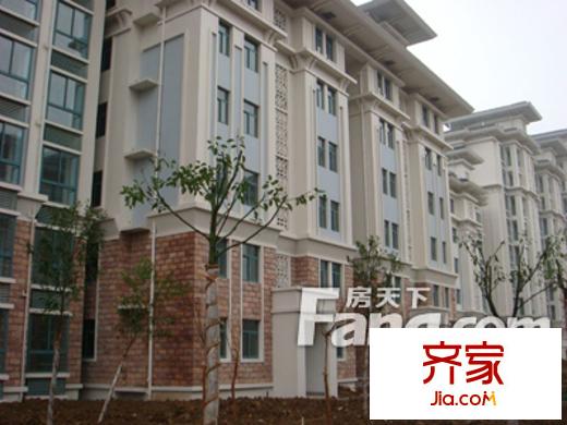 明珠小區(qū)外景圖2