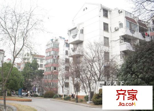琥珀中村外景圖6