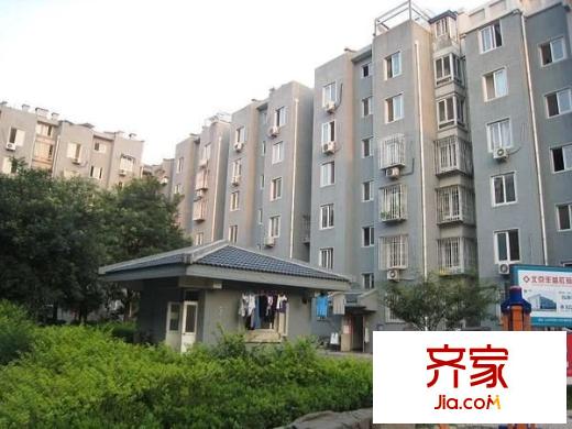 琥珀中村外景圖 