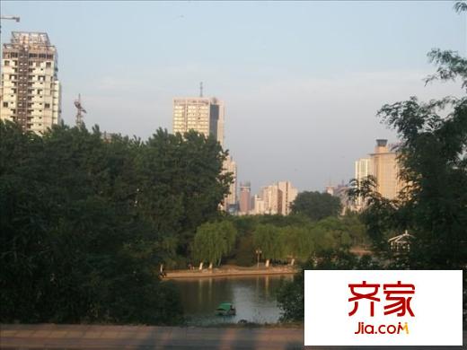 琥珀中村