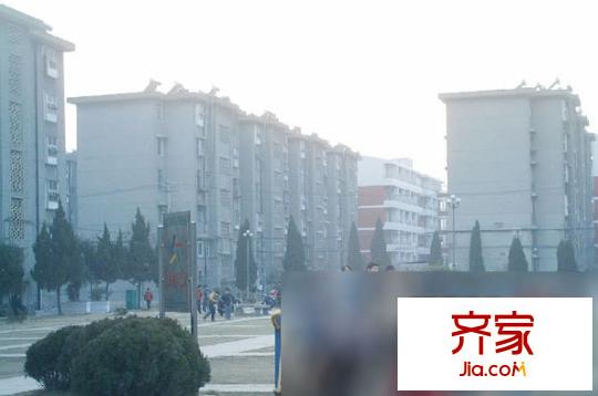 姚公新苑外景圖4