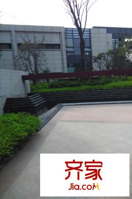柏莊春暖花開實景圖（2015.3.24）