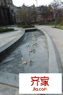 柏莊春暖花開實景圖（2015.3.24）