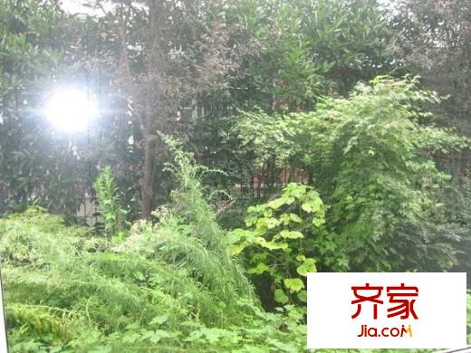 福滿華庭