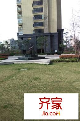 柏莊春暖花開實景圖（2015.3.24）