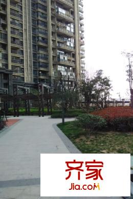 柏莊春暖花開實景圖（2015.3.24）
