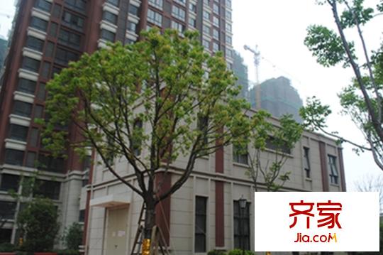 京城國(guó)際小區(qū)內(nèi)部實(shí)景（2015-12-28）