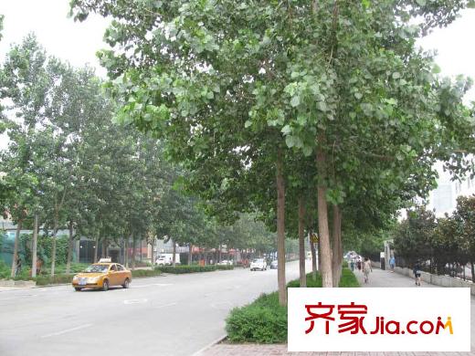 燕園配套圖2011-08-04實(shí)景：環(huán)境