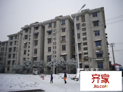 隆崗新村外景圖11
